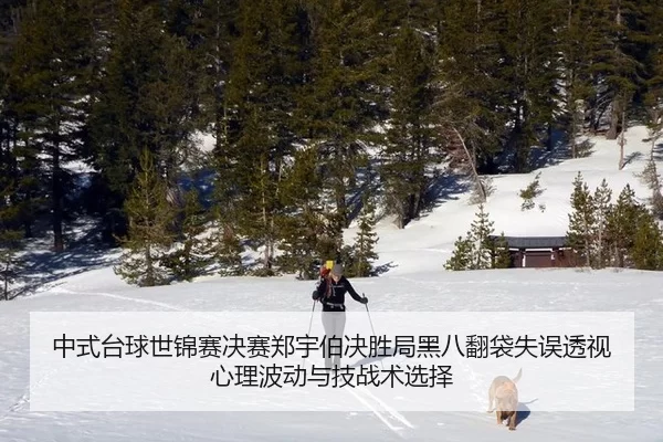 中式台球世锦赛决赛郑宇伯决胜局黑八翻袋失误透视心理波动与技战术选择